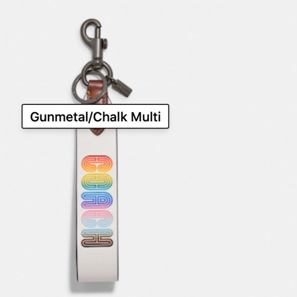 SALE NEW Coach Rainbow Large Leather Loop Wrist Keyring Purse Charm Dog Leash - Picture 4 of 12